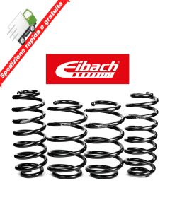 Eibach pro-kit
